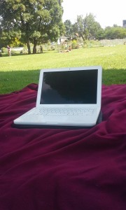 workinginthepark